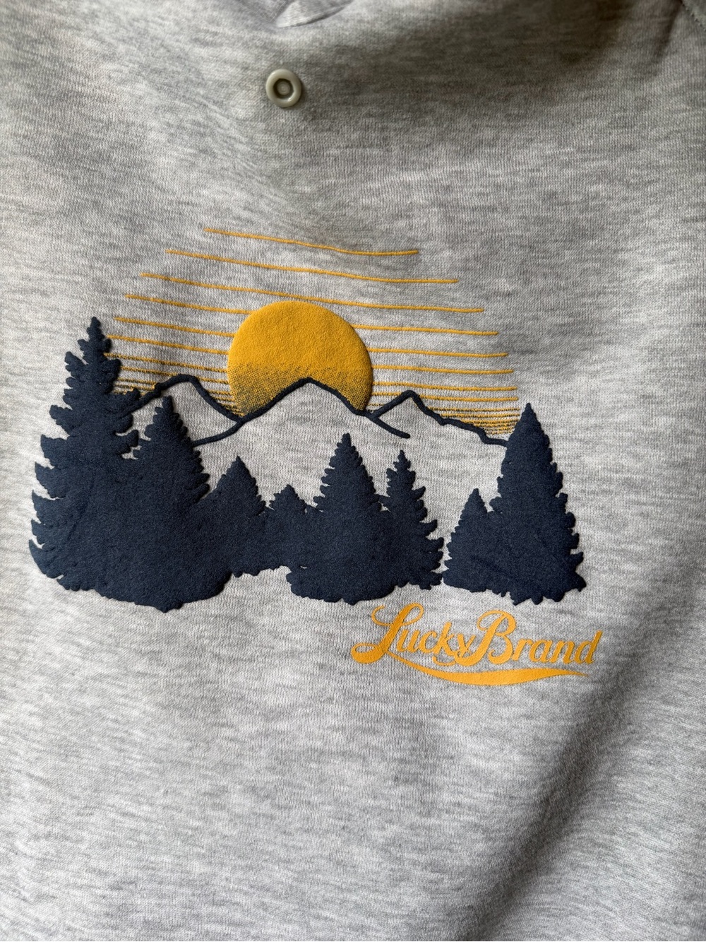 Lucky Brand Mountain Graphic Medium Dog Hoodie Gray - Picture 3 of 8